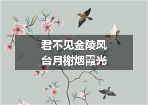 君不见金陵风台月榭烟霞光