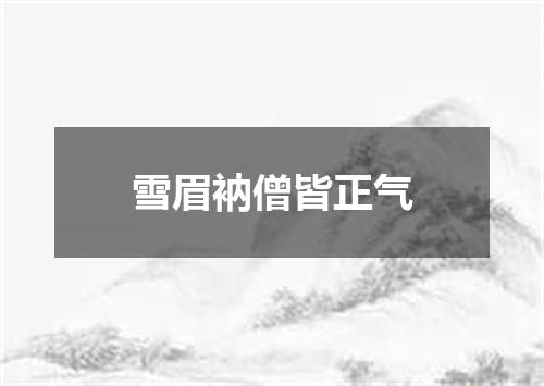 雪眉衲僧皆正气