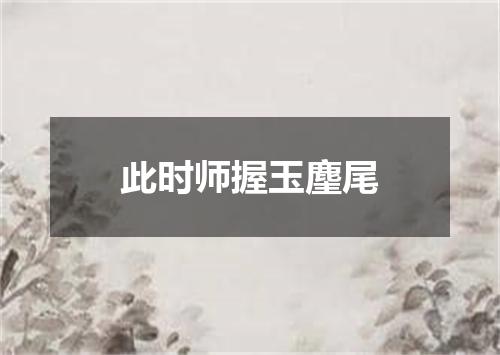 此时师握玉麈尾