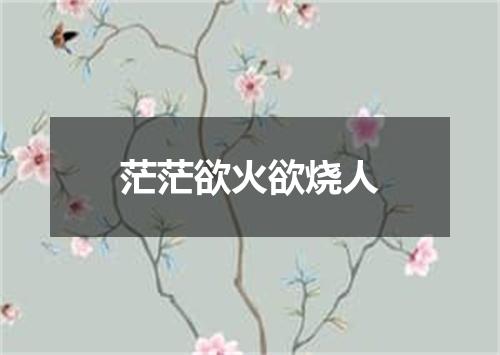 茫茫欲火欲烧人