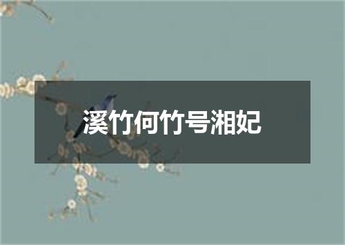 溪竹何竹号湘妃