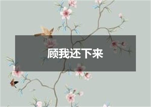 顾我还下来