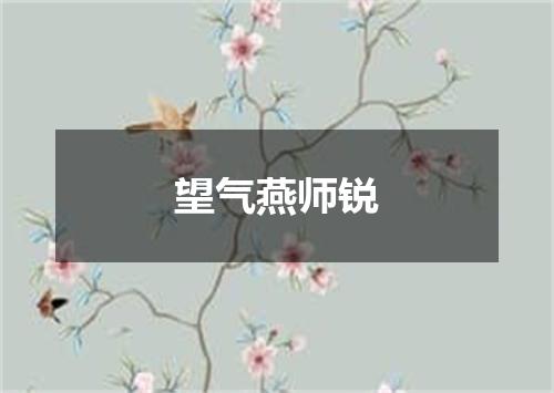 望气燕师锐