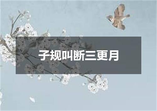 子规叫断三更月