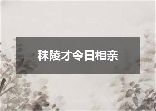 秣陵才令日相亲