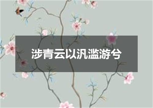 涉青云以汎滥游兮