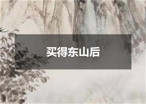 买得东山后