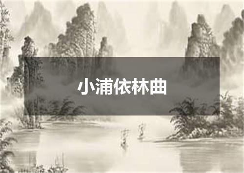 小浦依林曲