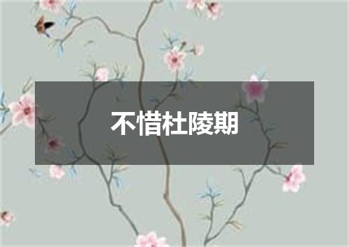 不惜杜陵期