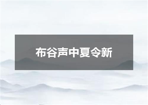 布谷声中夏令新