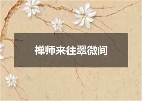 禅师来往翠微间