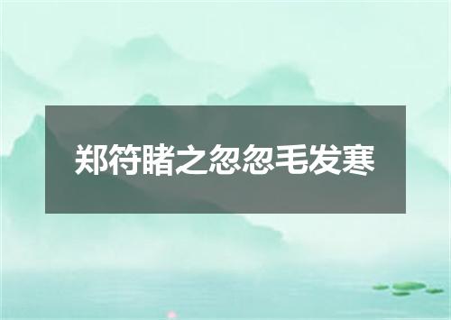 郑符睹之忽忽毛发寒