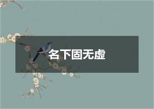 名下固无虚