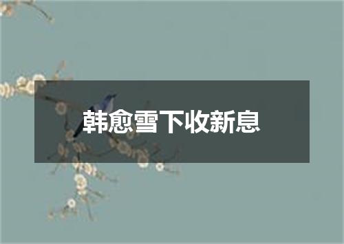 韩愈雪下收新息