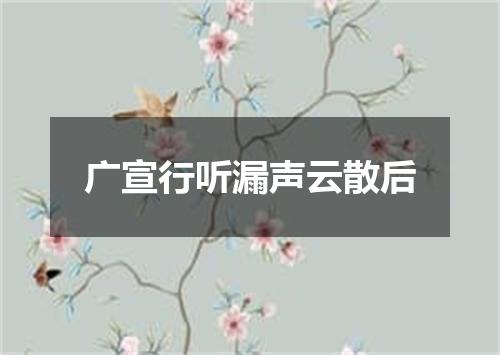 广宣行听漏声云散后