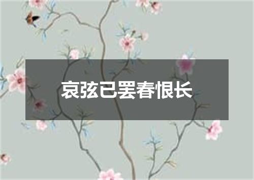 哀弦已罢春恨长