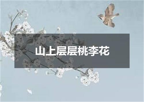 山上层层桃李花