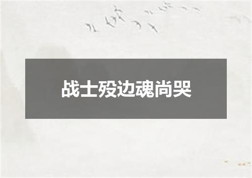 战士殁边魂尚哭