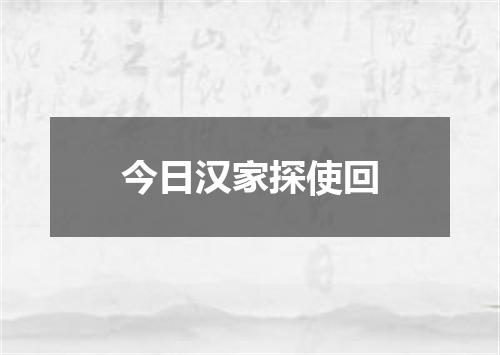 今日汉家探使回