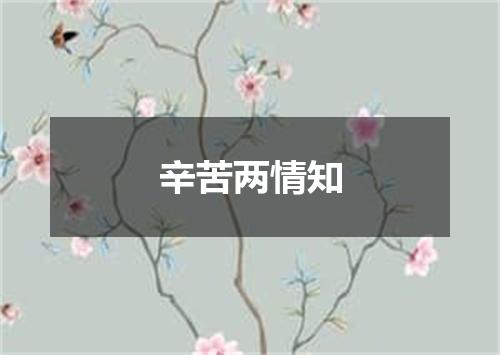 辛苦两情知