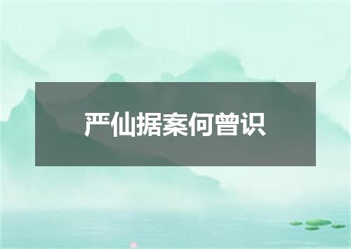 严仙据案何曾识