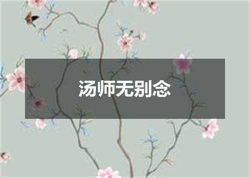 汤师无别念