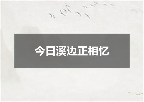 今日溪边正相忆