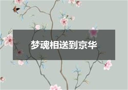 梦魂相送到京华