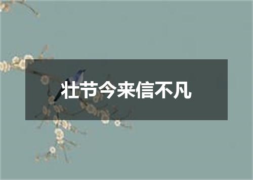 壮节今来信不凡