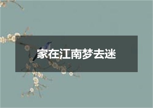 家在江南梦去迷