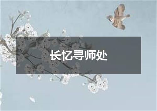 长忆寻师处