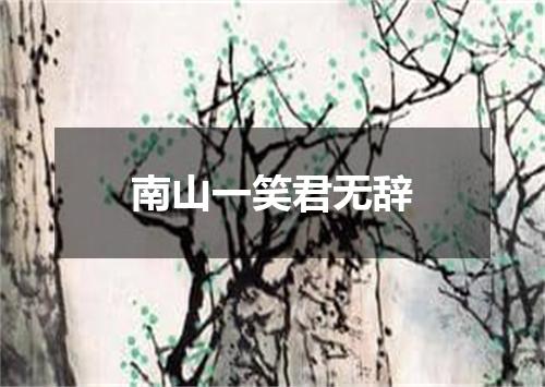 南山一笑君无辞