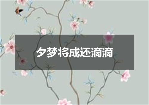 夕梦将成还滴滴