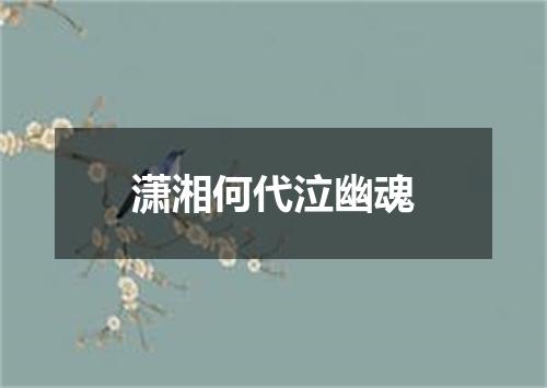 潇湘何代泣幽魂