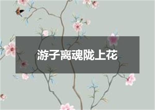 游子离魂陇上花