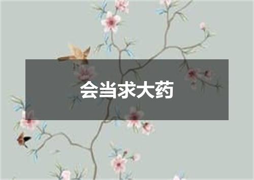 会当求大药