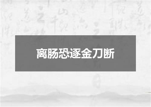 离肠恐逐金刀断