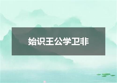 始识王公学卫非