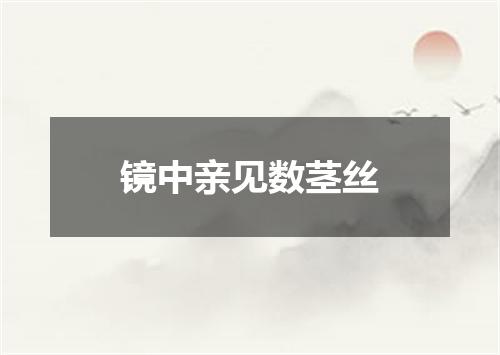 镜中亲见数茎丝