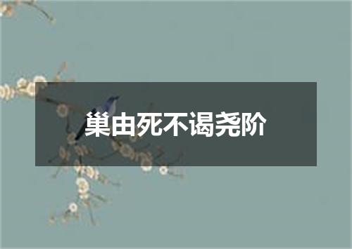 巢由死不谒尧阶