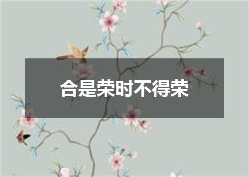 合是荣时不得荣