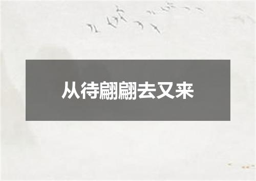 从待翩翩去又来