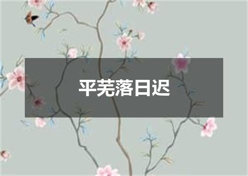 平芜落日迟