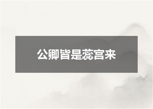 公卿皆是蕊宫来