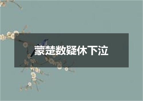 蒙楚数疑休下泣