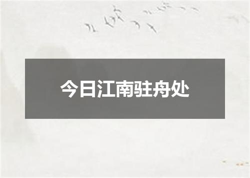 今日江南驻舟处