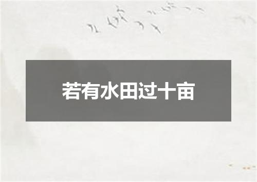 若有水田过十亩