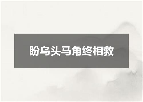 盼乌头马角终相救