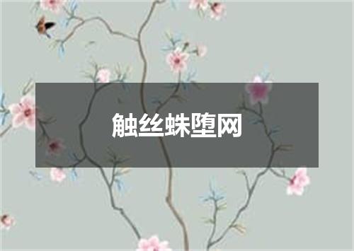 触丝蛛堕网