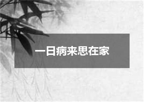 一日病来思在家